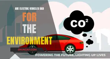 Electric Vehicles: Green Revolution or Environmental Disaster?