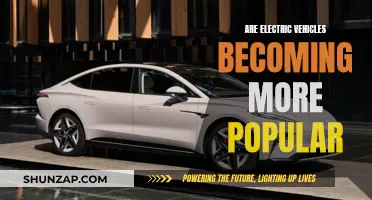 The Rise of Electric Vehicles: A Growing Trend