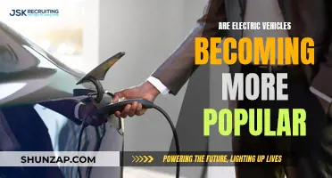 Electric Vehicles: Gaining Momentum in the Auto Industry