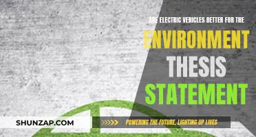 Electric Vehicles: Green Revolution or Greenwash?