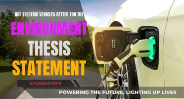 Electric Vehicles: Greener Future or Environmental Disaster?