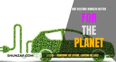 Green Revolution: Unveiling the Environmental Impact of Electric Vehicles