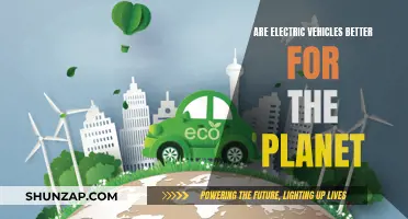 Electric Vehicles: Greener Option or Greenwashing?