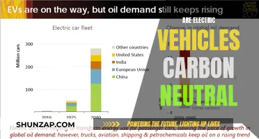 Electric Vehicles: Carbon Neutral or Not?