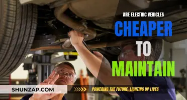Electric Vehicles: Cheaper Maintenance, Better Performance