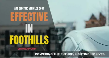 Electric Vehicles: Cost-Effective in Foothills?