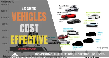 Electric Vehicles: Cost-Effective or a Costly Mistake?