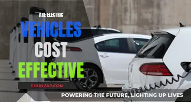 Electric Vehicles: Cost-Effective Now or in the Future?