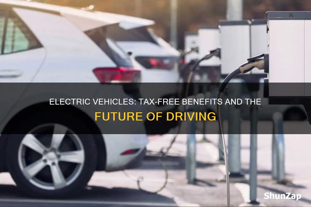 are electric vehicles duty free