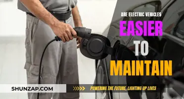 Electric Vehicles: Simpler Maintenance, Better Performance