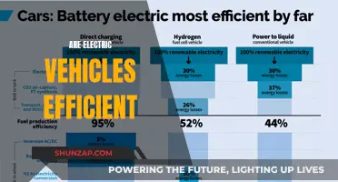 The Efficiency of Electric Vehicles: A Comprehensive Look