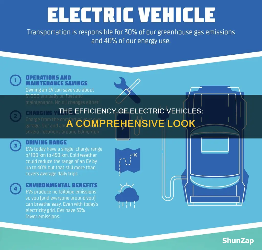 are electric vehicles efficient