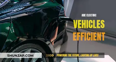 Electric Vehicles: Efficient, Eco-Friendly, and the Future?