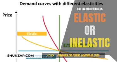 Electric Vehicles: Elastic or Inelastic Demand? Unraveling the Mystery