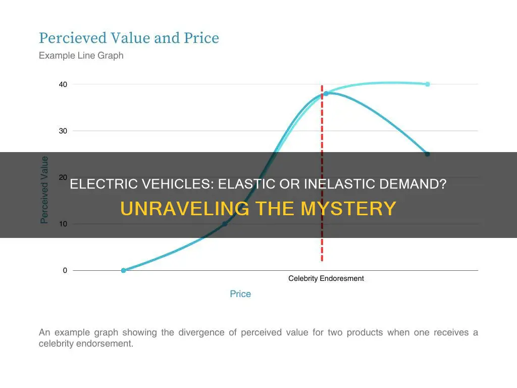 are electric vehicles elastic or inelastic