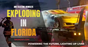 Electric Vehicle Fire: Unraveling the Mystery of Florida's Exploding EVs