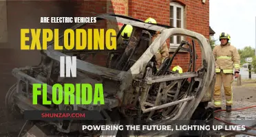 Florida's Electric Vehicle Explosion: Safety Concerns?