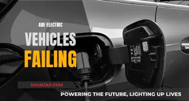 Electric Vehicles: Are We Witnessing a Failure of Innovation?