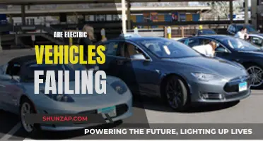 Electric Vehicles: Failing or Future of Transportation?