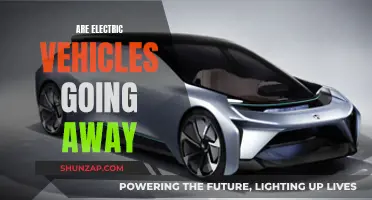 Electric Vehicles: Here to Stay or Passing Fad?