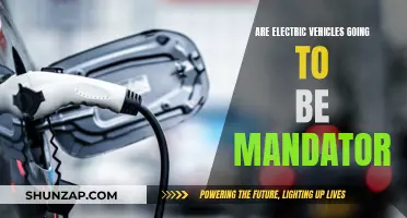 The Inevitable Electric Vehicle Revolution: Will It Be Mandatory?