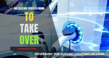 The Rise of Electric Vehicles: Will They Dominate the Future?