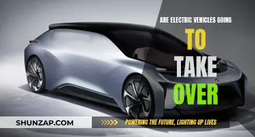 Electric Vehicles: The Future of Transportation?