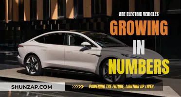 The Rise of Electric Vehicles: A Growing Trend