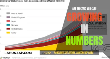 Electric Vehicles: Growing Numbers, Changing the Automotive Landscape