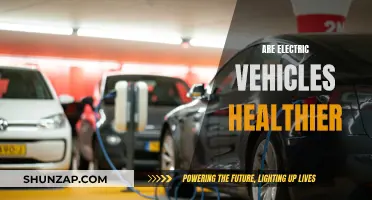 Electric Vehicles: Healthier Choice or Marketing Ploy?