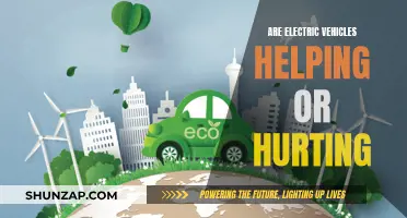 Electric Vehicles: Helping or Hurting Our Future?