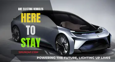 Electric Vehicles: The Future of Sustainable Transportation?