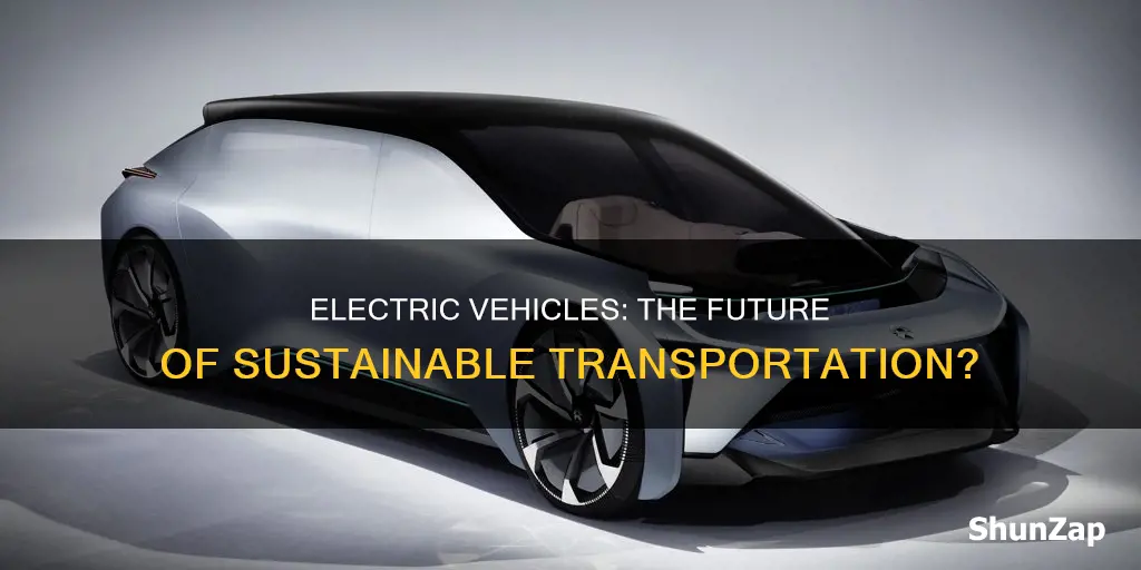 are electric vehicles here to stay