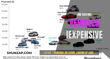 Are Electric Vehicles Worth the Cost? Unlocking the True Value