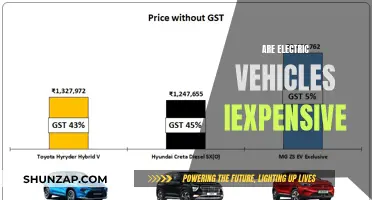 Electric Vehicles: Costly or Affordable?