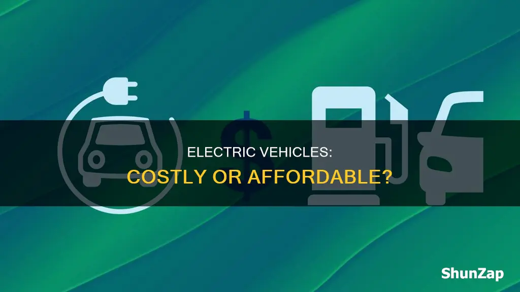 are electric vehicles iexpensive