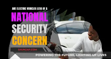 Electric Vehicles: Reducing National Security Concerns?