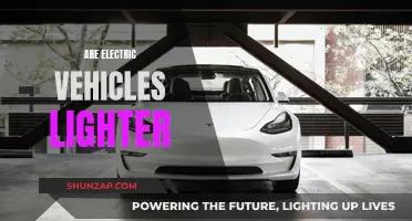 Electric Vehicles: Lighter, Greener, Faster?