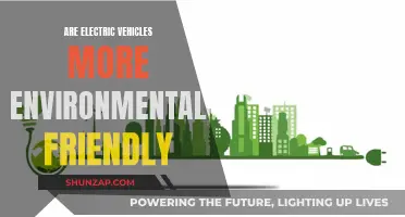 Electric Vehicles: Greener Option or Complex Environmental Issue?