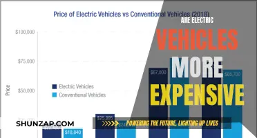 Electric Vehicles: Cost, Benefits, and the True Value