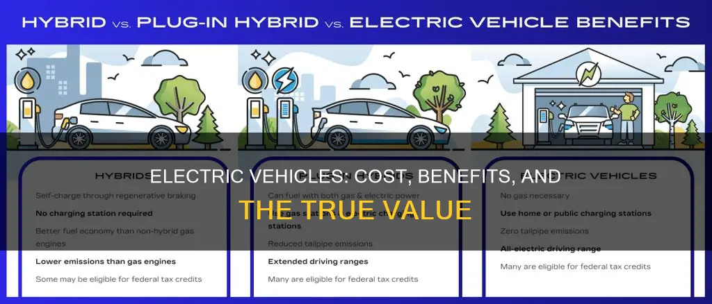 are electric vehicles more expensive