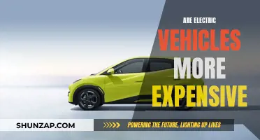 Electric Vehicles: Costly Transition or Affordable Future?