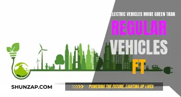 Electric Vehicles: Greener Option or Marketing Ploy?