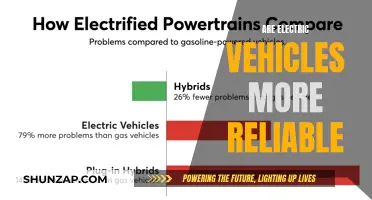 Electric Vehicles: Unlocking Reliability and Performance