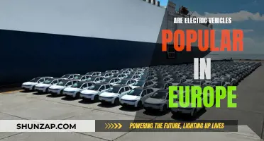Electric Vehicles in Europe: A Popular Choice?