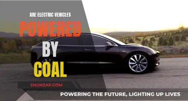Electric Vehicles: Coal Power's Future?