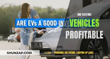 Electric Vehicles: Unlocking Profitable Potential and Environmental Benefits