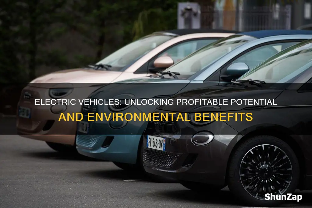 are electric vehicles profitable