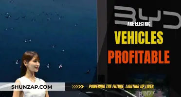 Electric Vehicles: A Profitable Future?