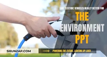 Electric Vehicles: Environmental Benefits or Hype?